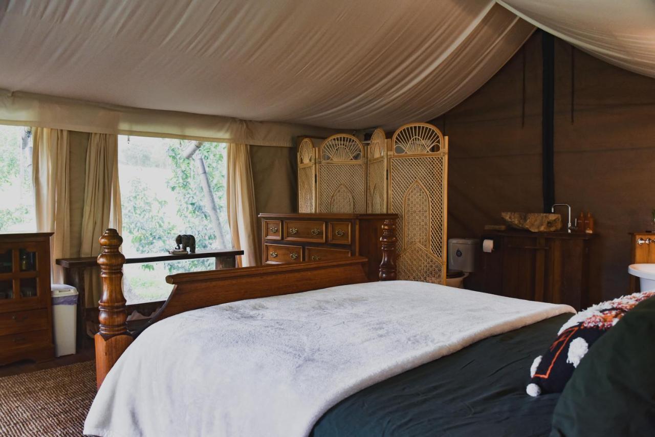 Silk Pavilions Glamping Mount Burrell Bagian luar foto