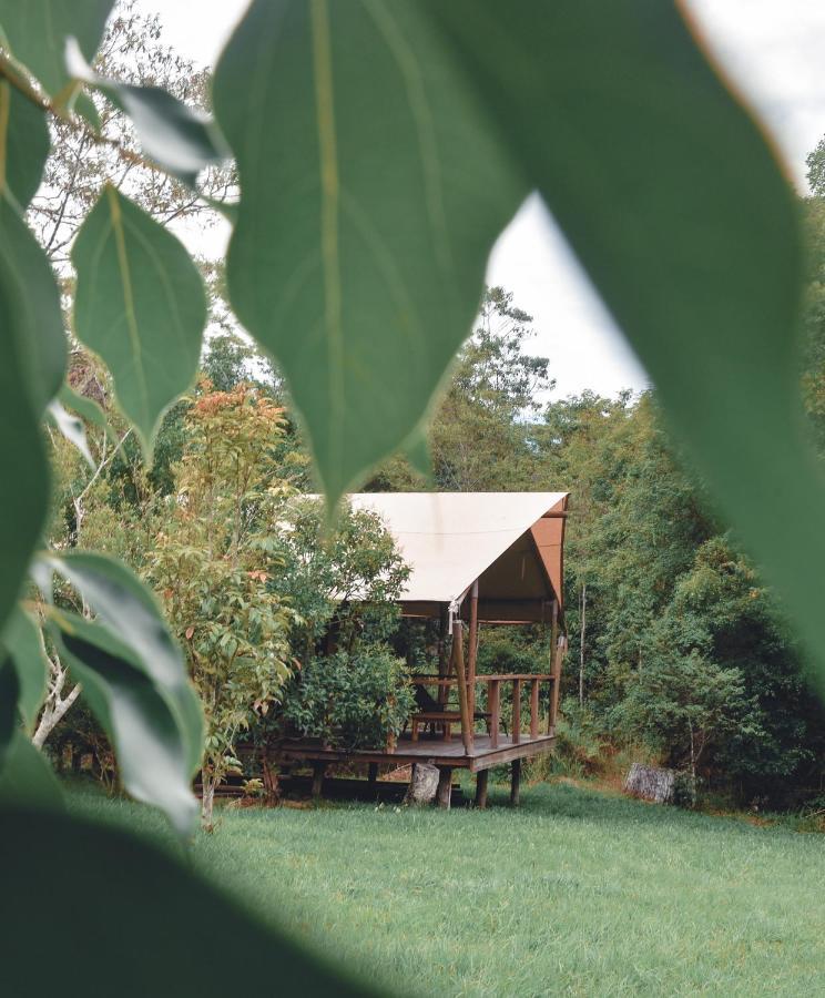 Silk Pavilions Glamping Mount Burrell Bagian luar foto