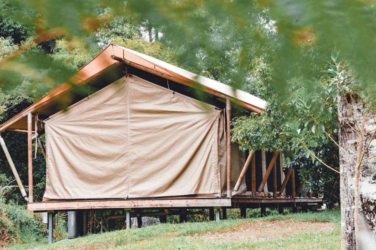 Silk Pavilions Glamping Mount Burrell Bagian luar foto